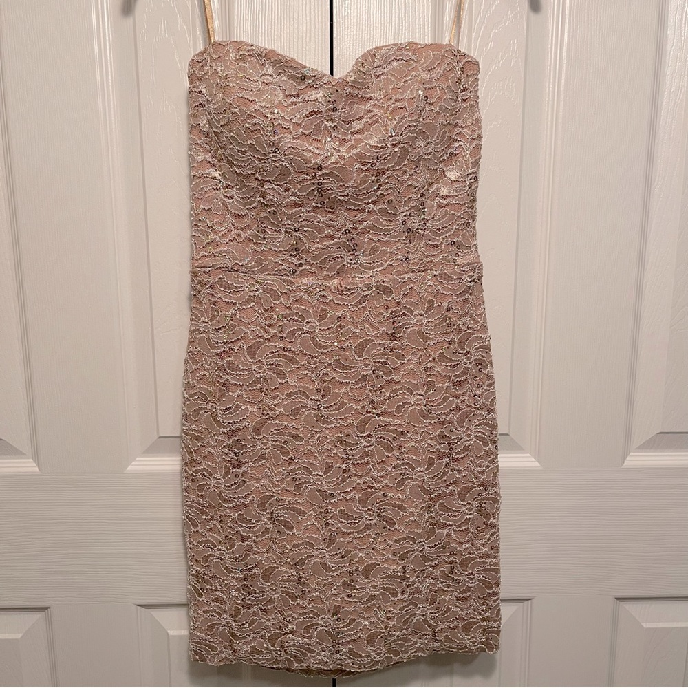 Blush lace and sequin dress